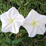 article image - 
